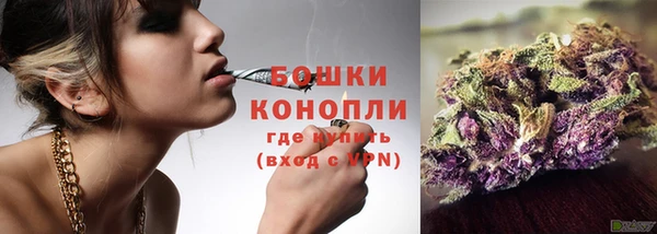 индика Бородино