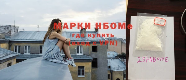 индика Бородино