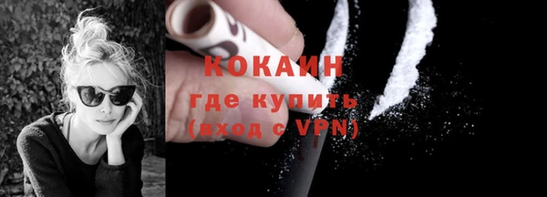 индика Бородино