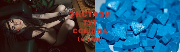 индика Бородино