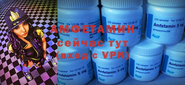 индика Бородино