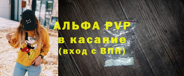 индика Бородино