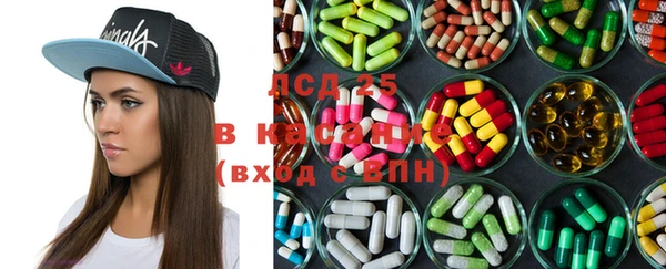 индика Бородино