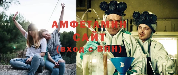 индика Бородино