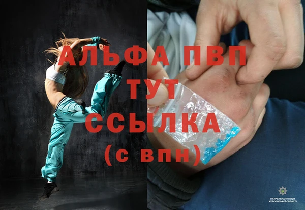 индика Бородино
