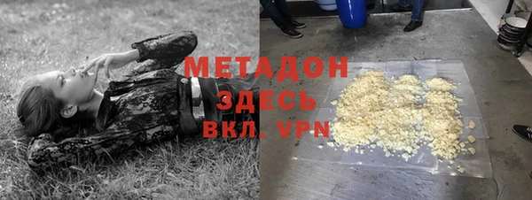 индика Бородино
