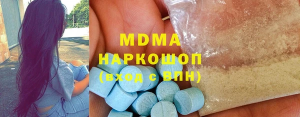 индика Бородино