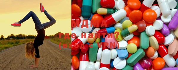 индика Бородино