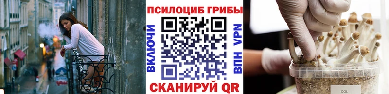 купить   Медвежьегорск  Галлюциногенные грибы мухоморы 