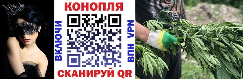 Бошки марихуана план Медвежьегорск